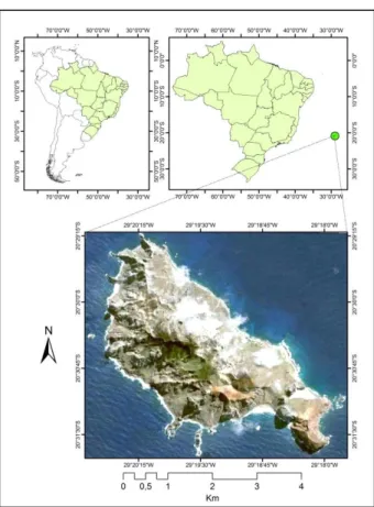 Figure 1: Location of the Trindade Island, Brazil (Image: Google Earth). 