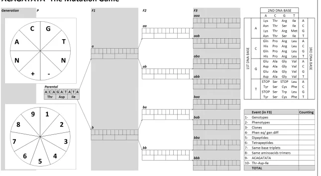 Figure 1 The game board.and, finally, eight It shows a phylogenetic tree to be constructed, with the parental DNA sequence ACAGATATA (center left, generation “P”) branching in two offsprings (in F1), then four (F2) “descendant” sequences (F3)