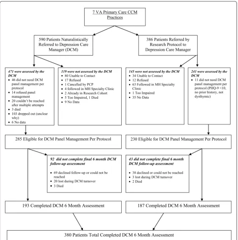 Figure 2 Naturalistic and evaluation-enrolled collaborative care patient flow chart