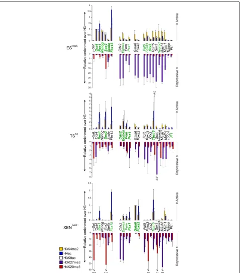 Figure 3 Histone modifications at the promoters of key developmental regulator genes in embryonic stem (ES), trophectoderm stemin XEN cells