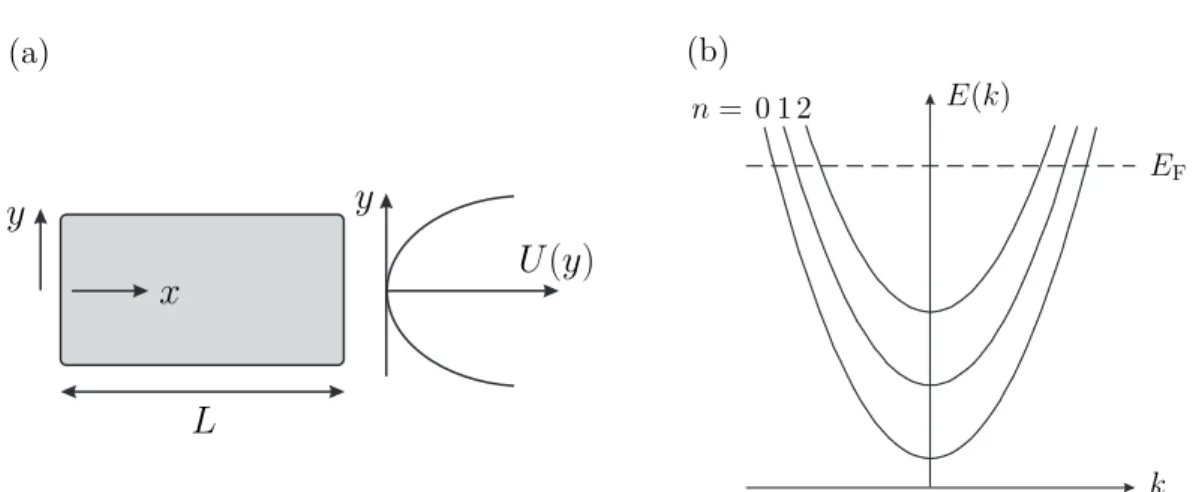 Figure 1.2: (a) A rectangular conductor assumed to be uniform in the x-direction and having some transverse confining potential U (y)