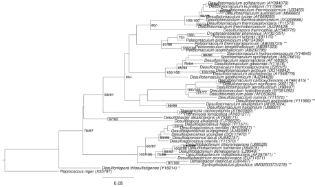 Figure 1. Phylogenetic tree highlighting the position of branches are support values from 700 ML bootstrap replicates [16] (left) and from 1,000 maximum parsimony boot-16S rRNA gene sequence under the maximum likelihood (ML) criterion [15] and rooted with 