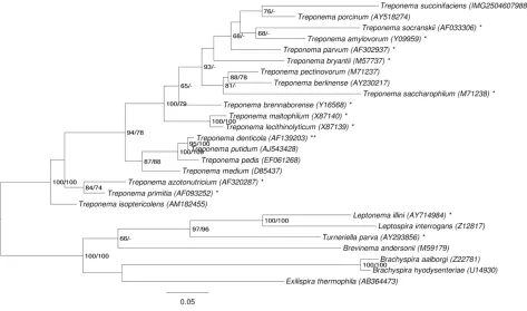 Figure 1 shows the phylogenetic neighborhood of T. nome differ from each other by up to seven nucleo-succinifaciens in a 16S rRNA based tree