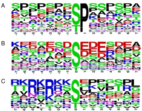 Figure 2recognition sequence categoriespresence of the amino acids glutamic acid (E) and aspartic acid (D) in the + residues, E/Ds are present in the - positions