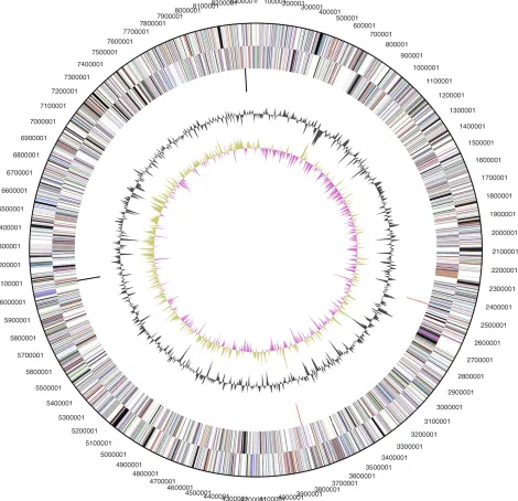 Figure 3. Graphical circular map of the chromosome (plasmid maps not shown). From outside to the center: Genes on forward strand (color by COG categories), Genes on reverse strand (color by COG categories), RNA genes (tRNAs green, rRNAs red, other RNAs bla