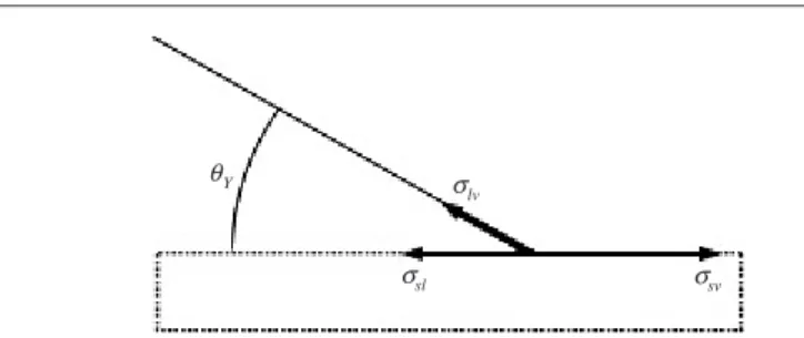 Figure 2. Force balance at the contact line (for θ Y approximately 30 ◦ ).