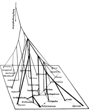 Fig. 2 Adaptive landscape model for population genetics (fromWright 1932)