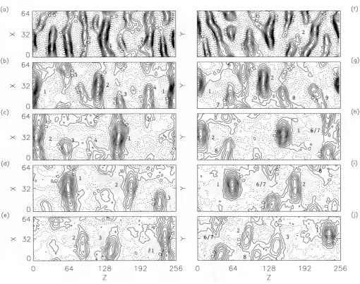 Fig. 5. Temporal evolution of the electron holes:times. Equipotential contours are plotted; the zero potential contour is labeled and the contour intervals are (a)–(e) in the x − z plane from ¯t = 100 − 500 and (f)–(j) in the y − z plane for the same �φ ¯ 