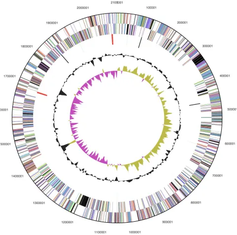 Figure 3. Graphical circular map of the chromosome; From outside to the center: Genes on forward strand (color by COG categories), Genes on reverse strand (color by COG categories), RNA genes (tRNAs green, rRNAs red, other RNAs black), GC content, GC skew