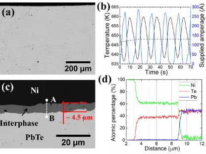 Figure 5. (a) SEM image of bonded sample generated during SPS bonding at 648 K, 20 MPa, 