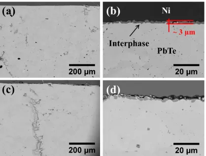Figure 2. SEM micrographs of bonding areas at the PbTe/Ni interface after sintering under 