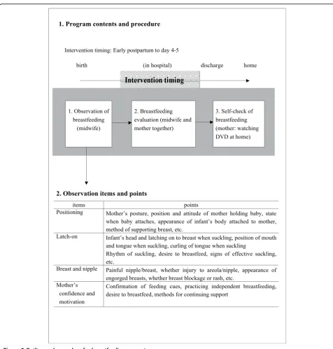 Figure 2 Outline and procedure for breastfeeding support program
