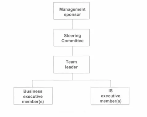 Figure 3.11    Strategy process management structure