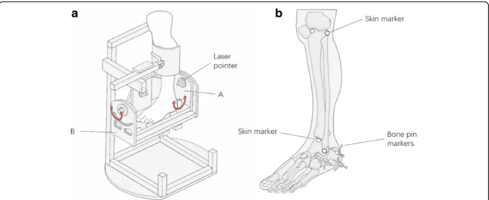 Fig. 1 a Illustration of the ankle deflection tester (ADT). The apparatus consists of two rotational components on a fixed stand: A) a small fixabletilting platform which can tilt in the coronal plane, B) a bigger flexing platform which can rotate in the s