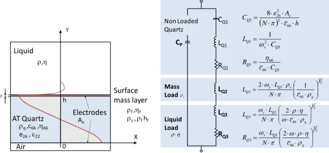 Figure 1. Electromechanical model of a piezoelectric resonator for microgravimetrical  applications in liquid; Cross-section of a loaded resonator and BVD equivalent circuit  modified by Martin and Granstaff