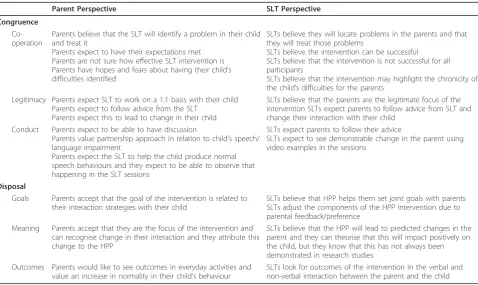Table 3 Interaction workability qualitative data from parents’ and practitioners’ perspectives