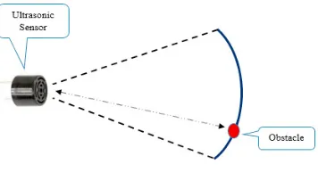 Fig. 1 Sensor field of view 
