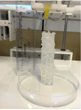 Figure 24  3D printed tubular structure with a height of 8 cm using 2 wt% agarose. 