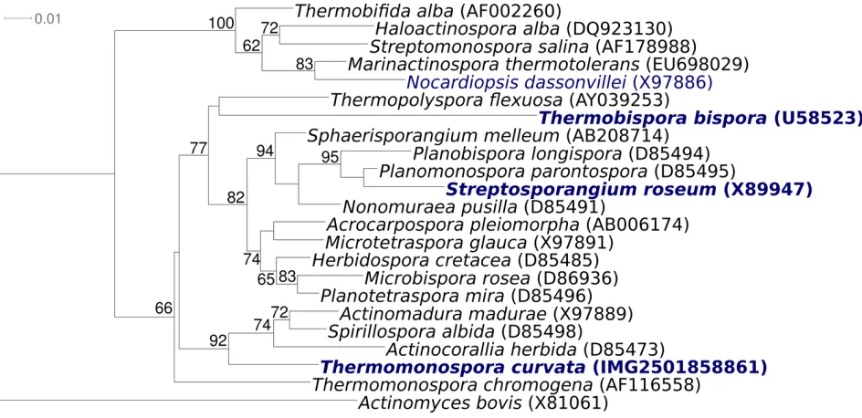 Figure 1 shows the phylogenetic neighborhood of T. curvata B9T in a 16S rRNA based tree