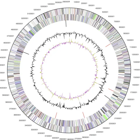Figure 3. Graphical circular map of the genome. From outside to the center: Genes on forward strand (color by COG categories), Genes on reverse strand (color by COG categories), RNA genes (tRNAs green, rRNAs red, other RNAs black), GC content, GC skew