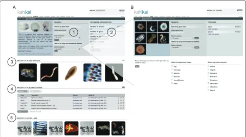 Figure 2 Database query. Each panel corresponds to one individual webpage. (A) the introduction screen with (1) a search window, (2)general information about the database, (3) recently added species, (4) published genes and (5) laboratories that have contr