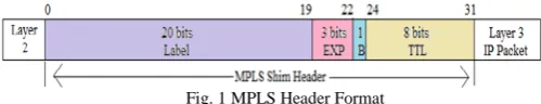 Fig. 1 MPLS Header Format 