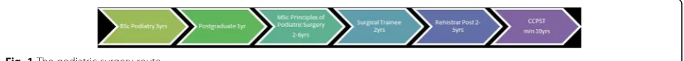 Fig. 1 The podiatric surgery route