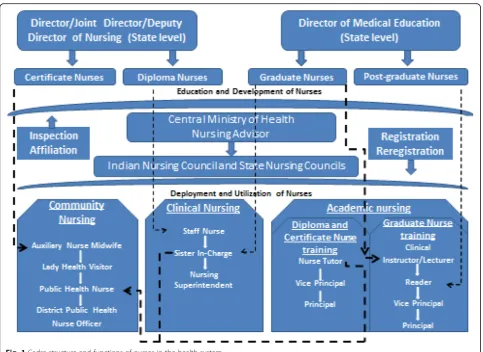 Fig. 1 Cadre structure and functions of nurses in the health system