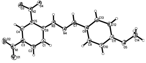 Figure 1The molecular structure of (I), with displacement ellipsoids drawn at the30% probability level.