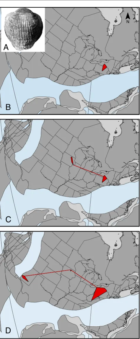 Fig. 1 Geographic range changes in a Late Devonian invasive(Frasnian Stage,New York region;Frasnian;late Frasnian