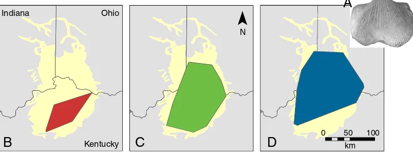 Fig. 4 Changes in the geographic range size of Hebertella occidentalis (a,0.6x) during the Late Ordovician from the b pre-invasion (C1 sequence), cinvasion (C4 sequence), and d post-invasion (C5 sequence) intervals