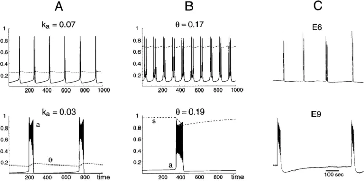 Figure 10 illustrates the effects of changing parameters in the fast subsystem: the steepness of a ⬁ (a) for the ␪-model (Fig