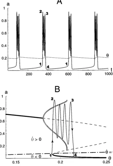 Figure 8. A, Time courses of a and ␪ for the ␪-model. During an episode