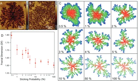Fig. 4(A) High resolution AFM images of the structure of Smp43 pores in DOPC:DOPE lipid bilayers