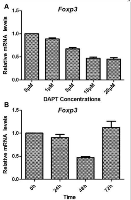 Figure 9 Foxp3 gene expression after DAPT treatment. A: Foxp3gene expression was down regulated as the concentrations of DAPTincreased compared to the control