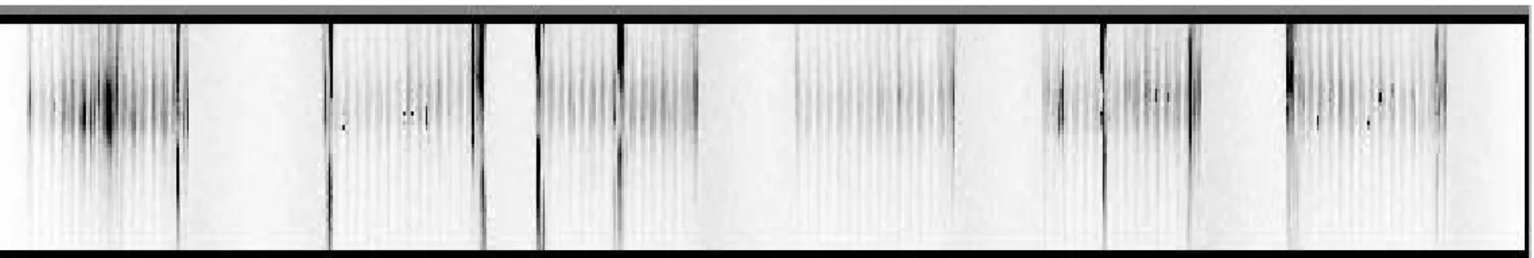 Fig 5.3. Image of capillaries displaying high backgroundComparison of the background observed in dirty and relatively clean capillaries based on images of capillary arrays taken during a step-through focus (see Chapter 6: Capillary Focus)
