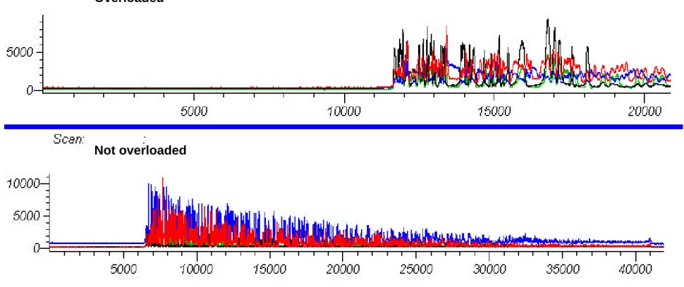Fig 5.9. Overloading: Reducing the concentration of the sequencing sample.  Raw data shown in the first panel are from an overloaded capillary
