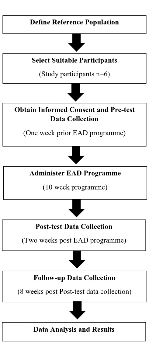 Figure 5.2: Overview of study design process (full-scale intervention)