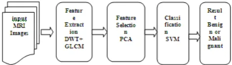 Figure 1:- Process of Brain tumor extraction and Classification 