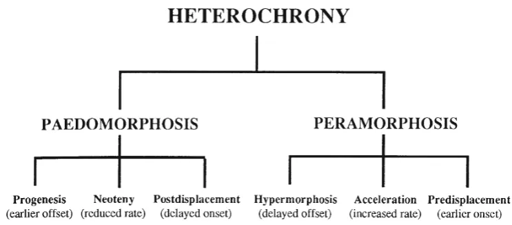 Fig. 2 The hierarchical