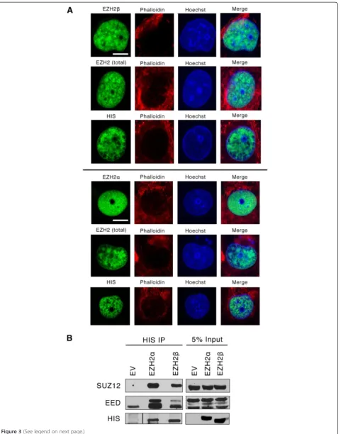 Figure 3 (See legend on next page.)