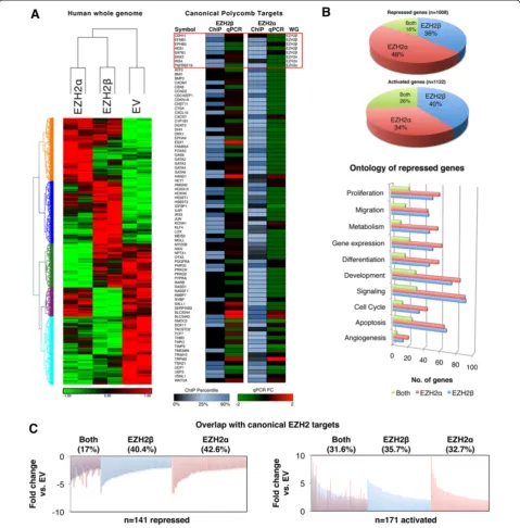 Figure 5 PRC2/EZH2probes (profiling was performed using epithelial cells transduced with EZH2assessed by chromatin immunoprecipitation array using an antibody against HIS-epitope-tagged EZH2 isoforms in epithelial cells transduced witheither the empty vect