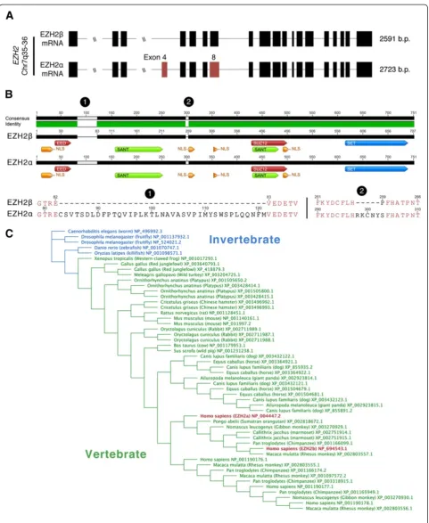 Figure 1 (See legend on next page.)