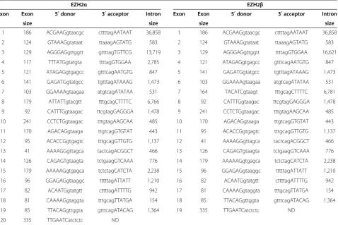 Figure 1 The EZH2 locus yields two major transcriptional variants: EZH2α and EZH2β. (A) Comparative analysis of the structure of EZH2α