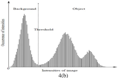 Fig.4: Thresholding the histogram of a beef image: (a) 4(b) image of beef; (b) thresholding the histogram; (c) binarized (a) by the threshold