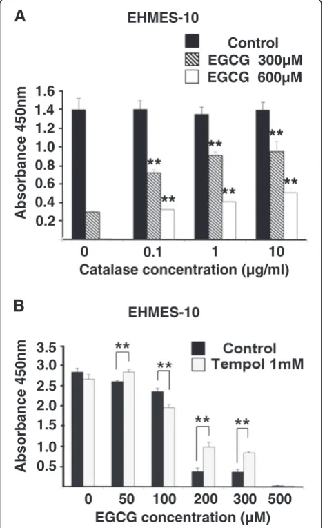 Figure 4 Catalase and tempol restore the cell death induced byEGCG. EHMES-10 cells were incubated with EGCG together withcatalase (A) or together with tempol (B)