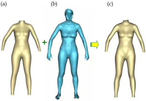 Figure 4-9. Fine fitting. (a) We start with a roughly fitted model from the previous phase