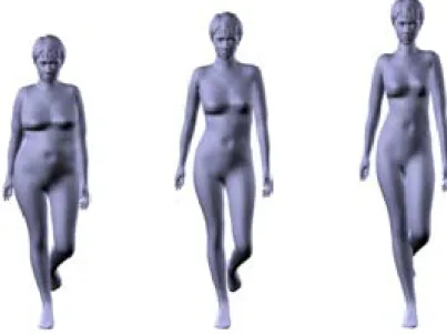 Figure 5-4. Exaggeration of a body is obtained by making use of the example database  and the average body 