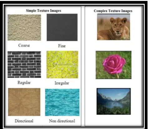 Figure 3. Examples of Texture Images 