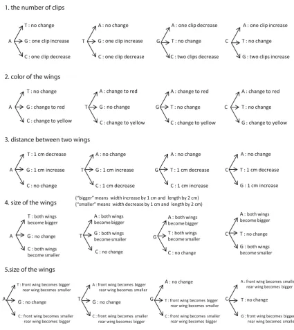 Fig. 3 Mutation table. After spinning the wheels of GMB (Fig. 2), students determine the effect of single base change on bird phenotype byreference to this table
